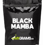 Black mamba