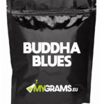 Buddha blues