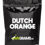 Dutch Orange